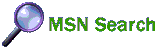 MSN Search